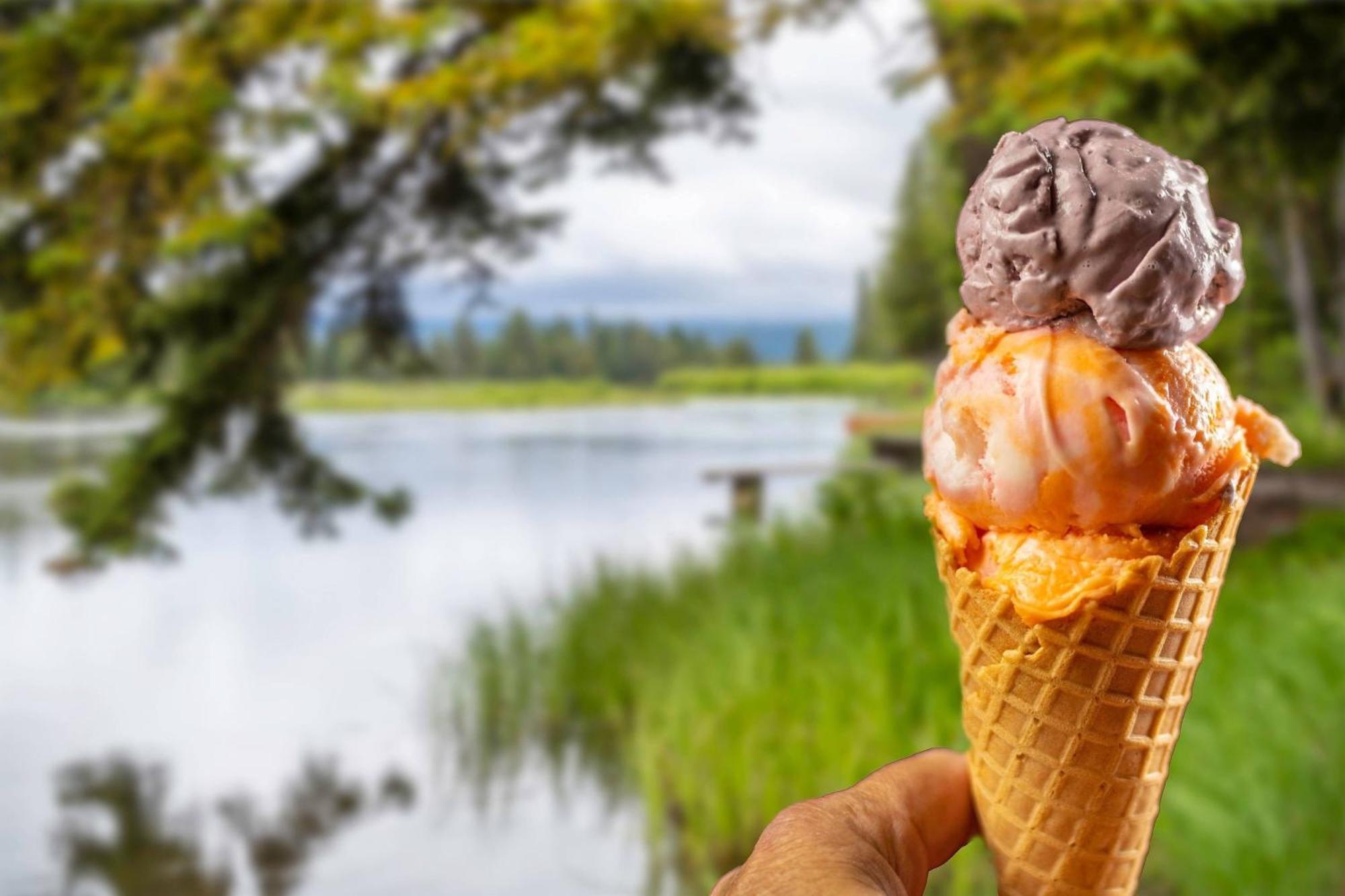 Springhill Suites Island Park Yellowstone Esterno foto